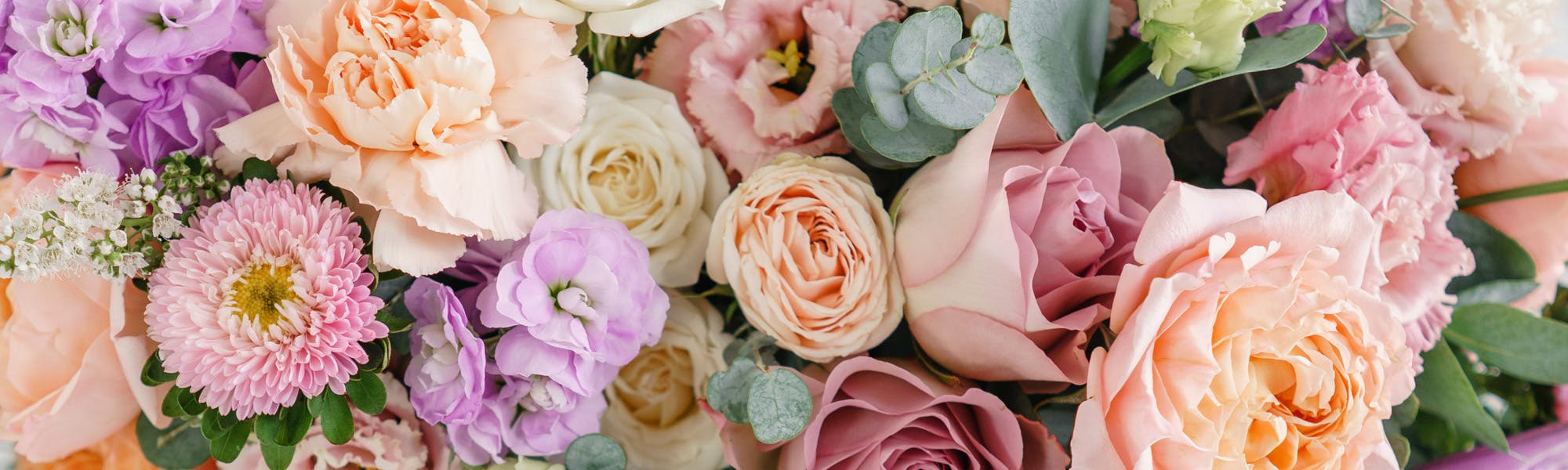 Palm Beach Gardens Florist SameDay Delivery Flower Kingdom