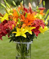Deal Of Day - Assorted Lilies-Vased