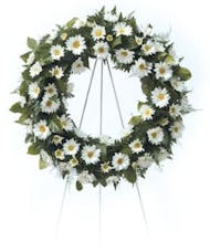 White Daisy Wreath