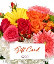 Gift Cards $200