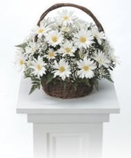 White Basket Tribute