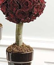 Small Rose Topiary