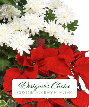 Designer's Choice Christmas  Planter