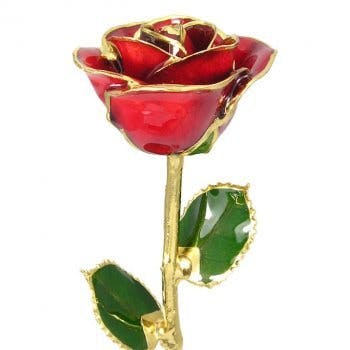 Gold Trim Red Rose Gold Rose Gift Delivery Palm Beach Florida