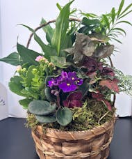 Blooming Basket Garden Deluxe