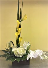 Lovely Callas & More