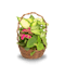Previous Image