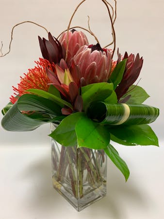 Protea Surprise | flowers Delivery Palm Beach Florida | Flower Kingdom