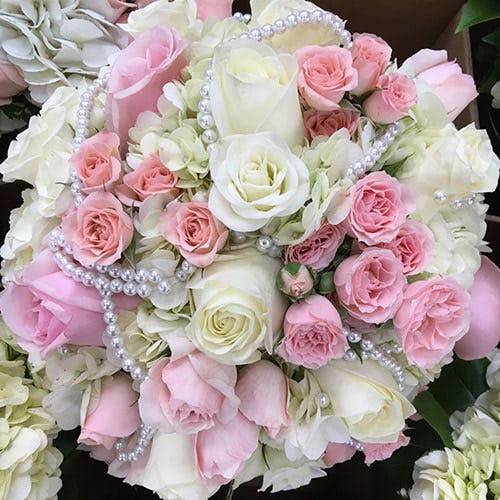 Flower Kingdom Plant, Flower, & Gift Delivery Palm Beach Gardens (FL)