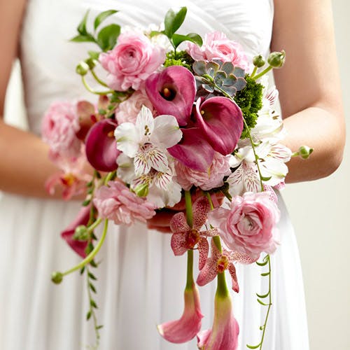 Flower Kingdom Plant, Flower, & Gift Delivery Palm Beach Gardens (FL)