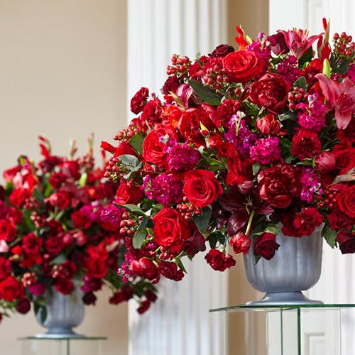 Flower Kingdom Plant, Flower, & Gift Delivery Palm Beach Gardens (FL)